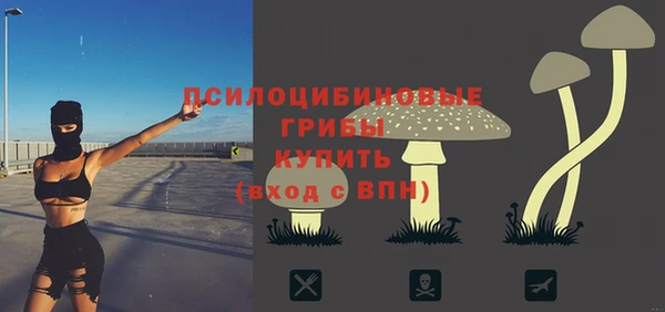 индика Магас