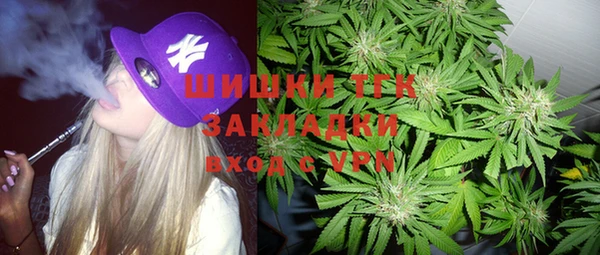 индика Магас