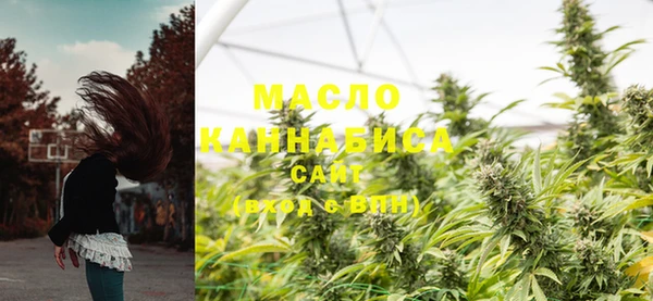 индика Магас