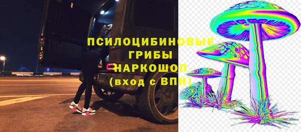 прущий лед Майский