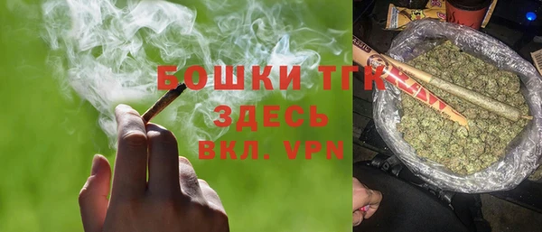 индика Магас