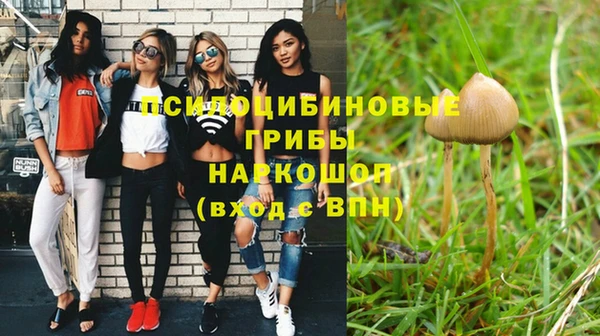 индика Магас