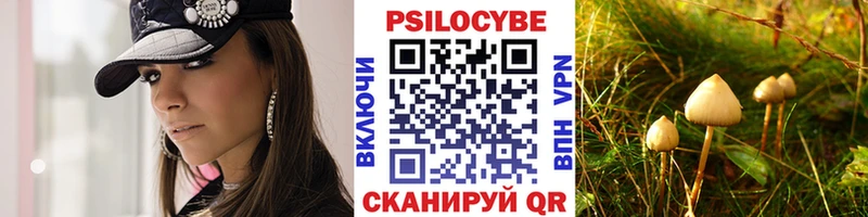 Псилоцибиновые грибы прущие грибы  Купить где  Калуга 