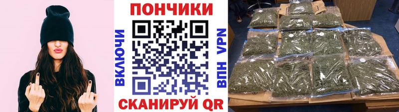 Конопля конопля  Купить где  Калуга 